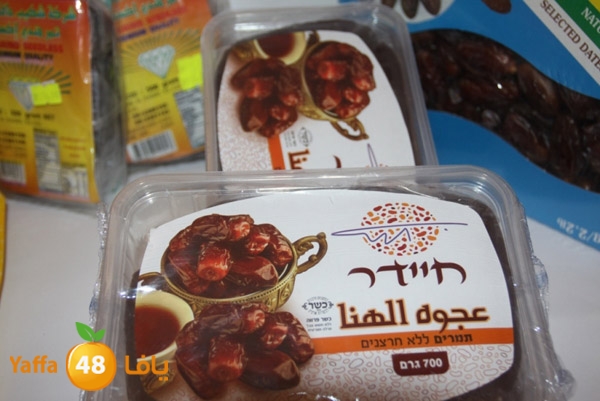 zhra2 tamer 705 (11).JPG